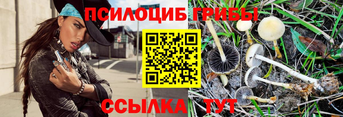 Псилоцибиновые грибы GOLDEN TEACHER  Вход с VPN  Галлюциногенные грибы Psilocybe  Клин 