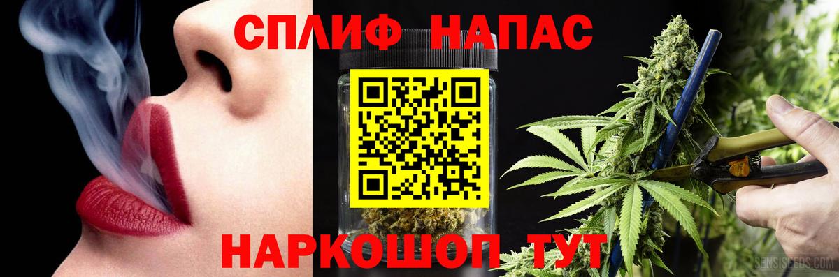 Марихуана сатива Клин